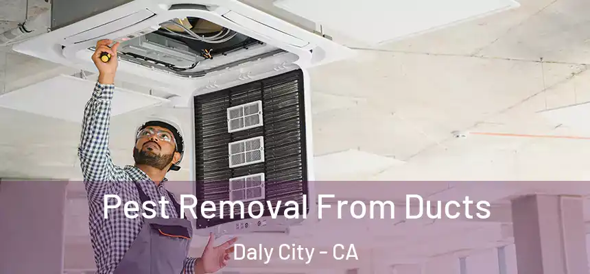  Pest Removal From Ducts Daly City - CA