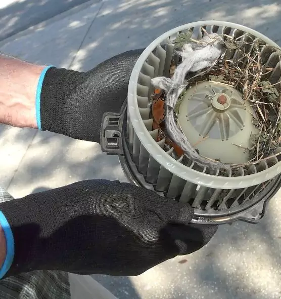 About Air Duct Mice Removal in Daly City, CA