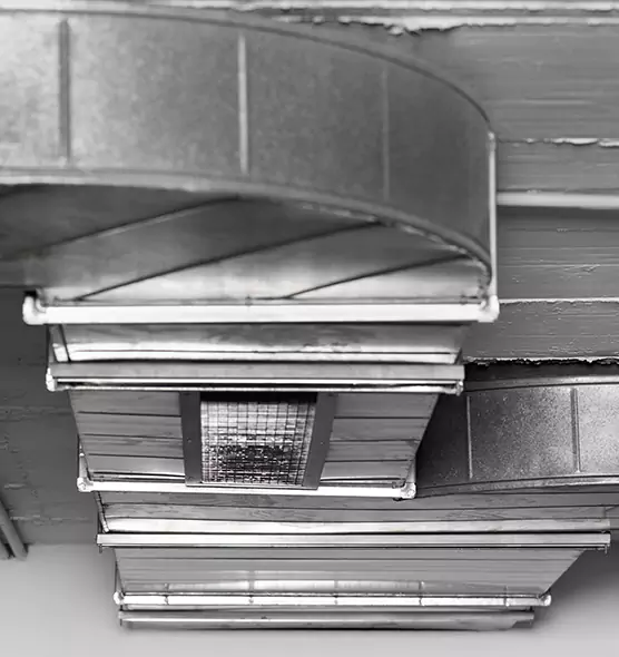 Professional Air Duct Pet Hair Removal in Daly City, CA