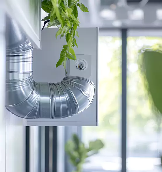 Professional Eco-Friendly Duct Cleaning Services in Daly City, CA