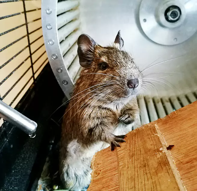 Why Homeowners & Businesses Trust Us Daly City, CA?