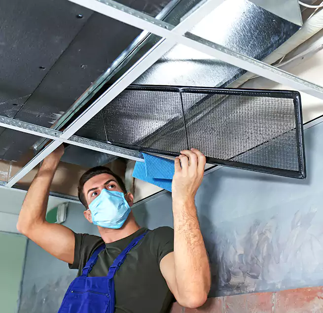 Why Homeowners Businesses Trust Us in Daly City, CA