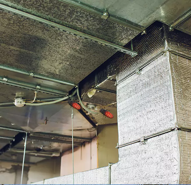 Why Homeowners & Businesses Trust Us Daly City, CA?