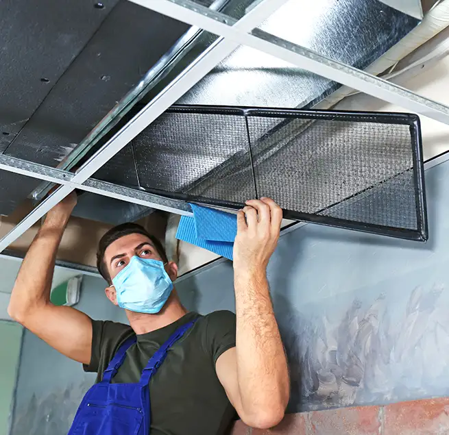 Why Homeowners & Businesses Trust Us in Daly City, CA?